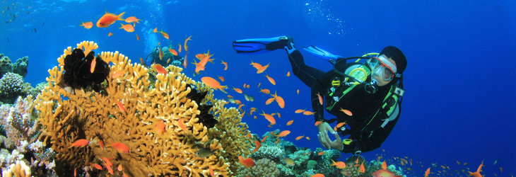 Diving with Family in Hurghada: A Safe and Enjoyable Adventure