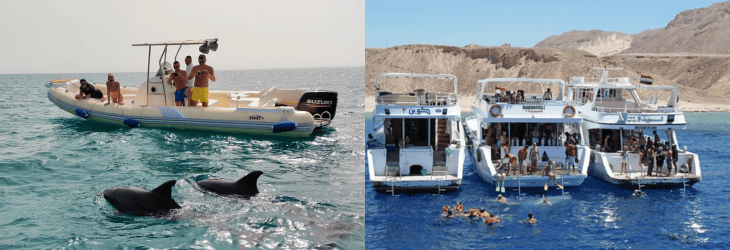 hurghada-vs-sharm-snorkeling