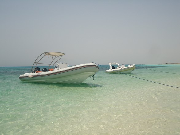 private speedboat trips in Hurghada