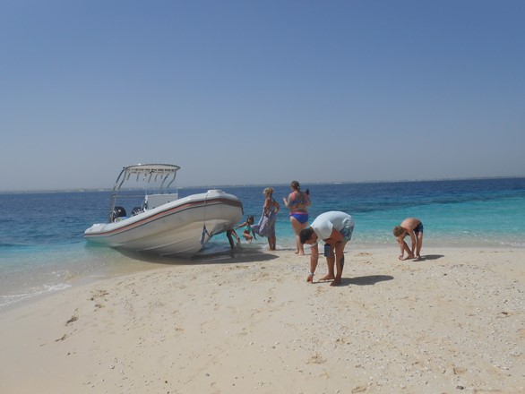 Bullet Speedboats private trips in Hurghada